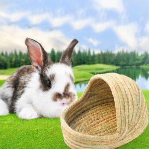 Nid d&rsquo;herbe pour lapin