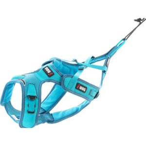 Harnais Canicross I-DOG ALM – Phoenix  : Harnais I-DOG ALM – Phoenix | Taille : XL I.DOG