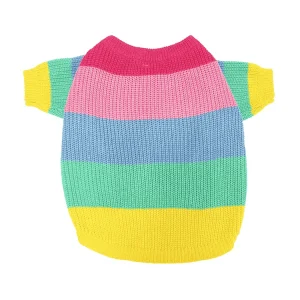 Pull en laine pour cavalier king charles arc-en-ciel