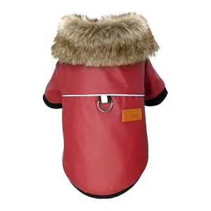 Veste en cuir pour cocker