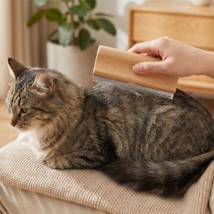 Brosse poil chat | DouceFélins