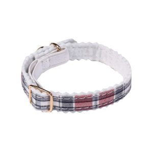 Col chat ecossais violet
