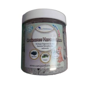 Croissance harmonieuse Chiot sportif