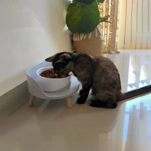Gamelle chat surélevée | MonChatDoubleEat™