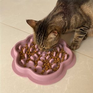 Gamelle ludique | MonLudoChat™