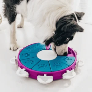 Jeu d’intelligence Tornado pour chien – Niveau 3