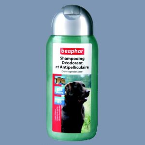 Shampoing antipelliculaire pour chien  : Shampooing antipelliculaire | Conditionnement : 200 ml Beaphar