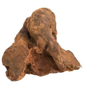 Racines à mâcher  : Racine taille L BUBIMEX